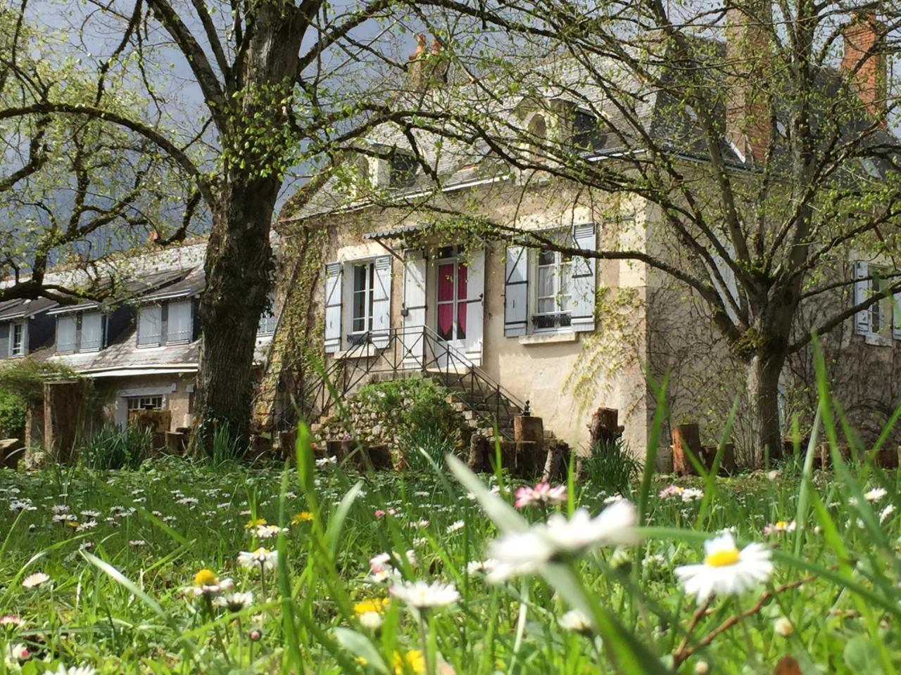 La Rossignolerie - La Familiale Vigneronne Bed & Breakfast Chouzy-sur-Cisse Exterior photo